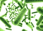 Biocides in Waterborne Adhesives: How to Select in Today's Regulatory Environment?