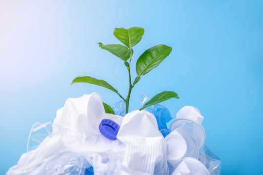 Bioplastic Tour: 2024 Innovations & Trends