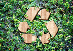 Cosmetic Sustainability Claims: Possibilities, Pitfalls and Legislation