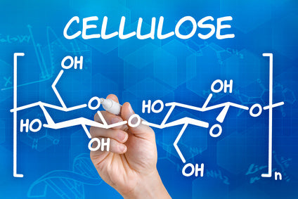 Nanocellulose: Mapping Opportunities for Commercial Adhesives