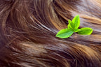 Formulating Hair Care with Natural Ingredients