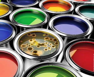 Mastering Biocide in Coatings: In-Can & Dry Film Protection with Sustainable Alternatives