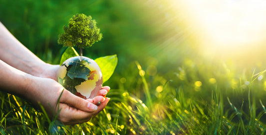 Bio-Based Adhesives: Formulation, Performance & Compliance Strategies for Modern Applications