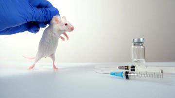 Animal Testing Alternatives for Cruelty free Cosmetics & Global Compliance