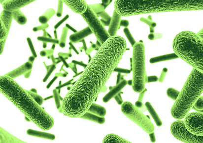 Biocides in Waterborne Adhesives: How to Select in Today's Regulatory Environment?